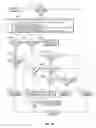 Fig. 10 - Stenger Screening in Automated Diagnostic Hearing Test