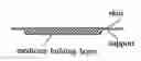Fig. 01 - Electrode chip for biological application and its using method