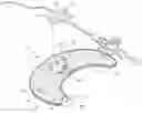 Fig. 01 - Anchoring System for a Medical Article