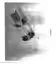 Fig. 08 - Controlled needle-free eye injector