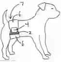 Fig. 01 - Reusable and disposable diaper for dogs