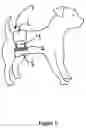 Fig. 03 - Reusable and disposable diaper for dogs
