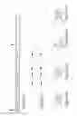 Fig. 16 - METHOD AND APPARATUS FOR ULTRAFILTRATION UTILIZING A PERIPHERAL ACCESS DUAL LUMEN VENOUS CANNULA
