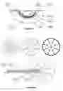 Fig. 06 - Wound cleansing apparatus with heat