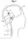 Fig. 02 - Methods and devices for the treatment of neurological and physiological disorders