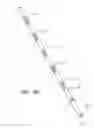 Fig. 14 - Clip-Based Systems and Methods for Treating Septal Defects