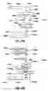 Fig. 13 - DEVICE, METHOD AND STIMULUS UNIT FOR TESTING NEUROMUSCULAR FUNCTION
