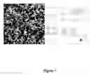 Fig. 08 - Method for preparing crosslinked polyelectrolyte multilayer films