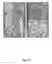 Fig. 11 - Method for preparing crosslinked polyelectrolyte multilayer films