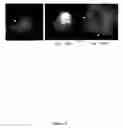 Fig. 14 - Method for preparing crosslinked polyelectrolyte multilayer films