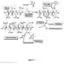 Fig. 16 - Method for preparing crosslinked polyelectrolyte multilayer films