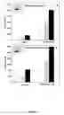 Fig. 20 - Method for preparing crosslinked polyelectrolyte multilayer films