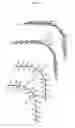 Fig. 06 - Embroidery data creation device, embroidery data creation method, and embroidery data creation program