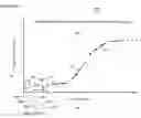 Fig. 08 - Automatic threshold setting for quantitative polymerase chain reaction