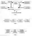 Fig. 03 - Automated simulation testbench generation for serializer/deserializer datapath systems