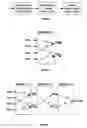 Fig. 04 - Automated simulation testbench generation for serializer/deserializer datapath systems