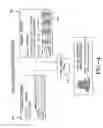 Fig. 05 - Optimized tire category management method