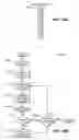 Fig. 13 - Associating media content files with advertisements