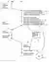 Fig. 01 - Systems and methods for automatically reassigning an order confirmation in response to an incoming order