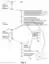 Fig. 02 - Systems and methods for automatically reassigning an order confirmation in response to an incoming order
