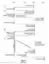 Fig. 06 - Systems and methods for automatically reassigning an order confirmation in response to an incoming order