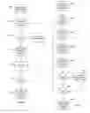 Fig. 06 - MANY TO MANY DATA SYNCHRONIZATION
