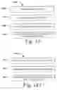 Fig. 13 - Systems and Methods for Roll-Up of Asset Digital Signatures