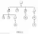 Fig. 06 - Method for updating contents of a DMS in a DLNA system