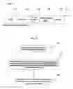 Fig. 06 - Using load balancing to assign paths to hosts in a network