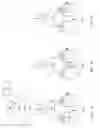 Fig. 02 - Method of transmitting data and network