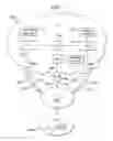 Fig. 05 - System and method for determining a preferred mirrored service in a network by evaluating a border gateway protocol