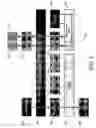 Fig. 04 - System-on-a-chip mixed bus architecture