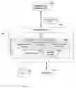 Fig. 05 - Network connection identification