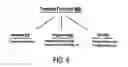 Fig. 07 - Data driven transfer functions