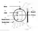 Fig. 01 - Graphical user interface for detail-in-context presentations