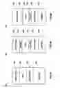 Fig. 04 - System and method for a pseudo dynamic link library (DLL) linker for a monolithic image in a wireless device