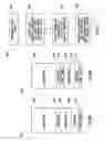 Fig. 07 - System and method for a pseudo dynamic link library (DLL) linker for a monolithic image in a wireless device