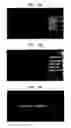 Fig. 06 - Digital multimedia player and method of providing digital multimedia broadcasting