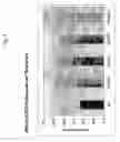 Fig. 04 - Methods and compositions for expressing an herbicide-tolerant polynucleotide