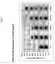 Fig. 05 - Methods and compositions for expressing an herbicide-tolerant polynucleotide