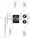 Fig. 07 - Methods and compositions for expressing an herbicide-tolerant polynucleotide