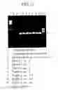 Fig. 11 - METHOD OF PRODUCING TRANSGENIC PLANTS HAVING IMPROVED AMINO ACID COMPOSITION AND IMPROVED YIELDING