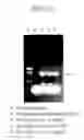 Fig. 12 - METHOD OF PRODUCING TRANSGENIC PLANTS HAVING IMPROVED AMINO ACID COMPOSITION AND IMPROVED YIELDING