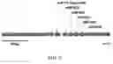 Fig. 03 - Methods and compositions for gene silencing