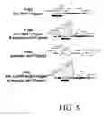 Fig. 06 - Methods and compositions for gene silencing
