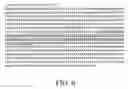 Fig. 07 - Methods and compositions for gene silencing