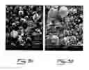 Fig. 04 - Process for the synthesis, separation and purification of powder materials