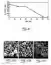 Fig. 09 - Process for the synthesis, separation and purification of powder materials
