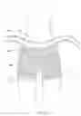 Fig. 02 - Garment with attached shaper