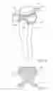 Fig. 03 - Garment with attached shaper